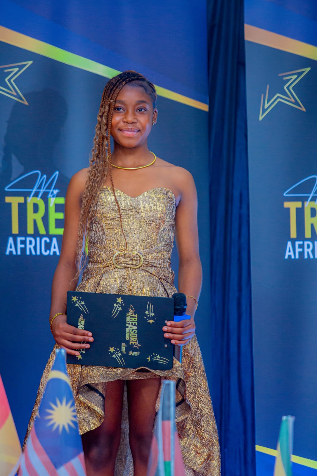 My Treasure Africa Awards event photo 78